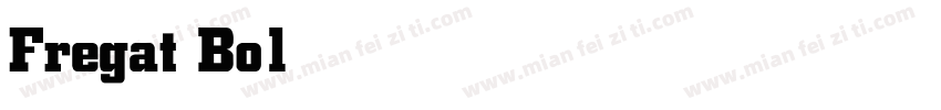 Fregat Bold字体转换
